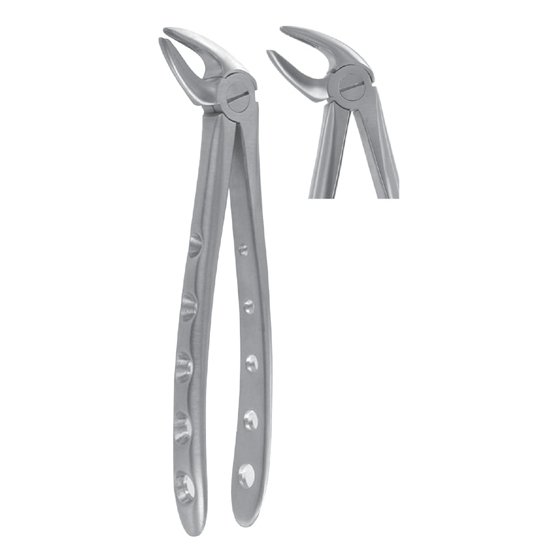 WI-1001 Extracting Forceps
