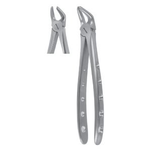 Extracting Forceps
