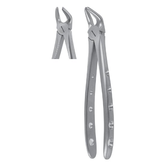 WI-1002 Extracting Forceps