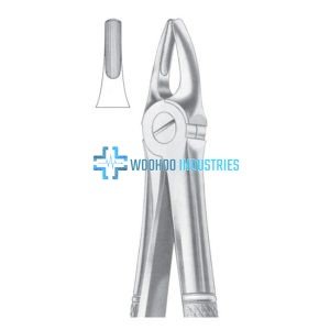 Extracting Forceps