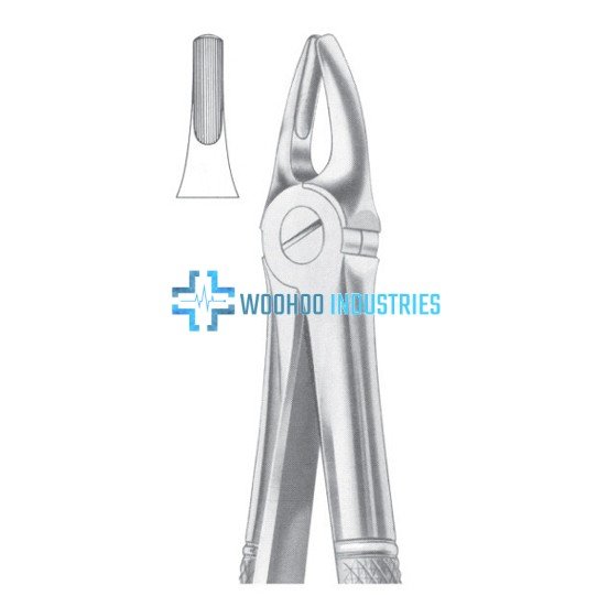 WI-1004 Extracting Forceps