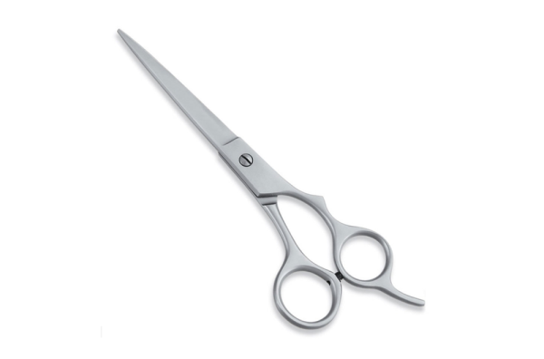 Professional hair cutting shears