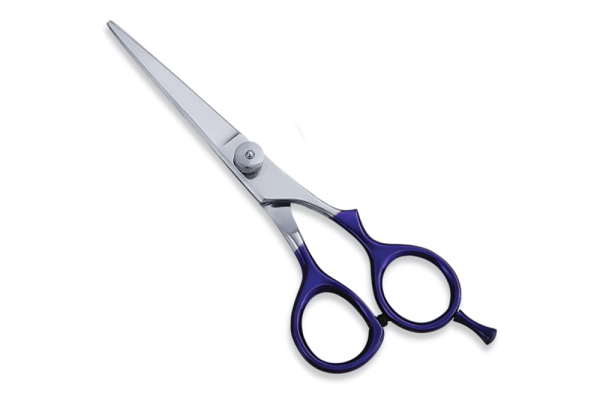 Ergonomic Blue Handle Scissors