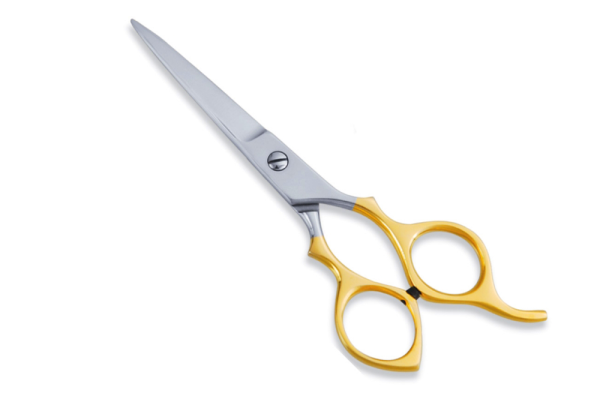 Stainless Steel Hair Scissors