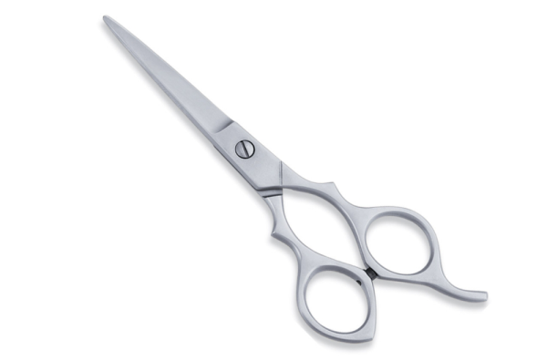 Classic Stainless Steel Scissors