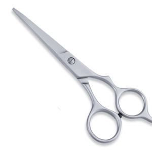 Professional Hair Cutting Shears