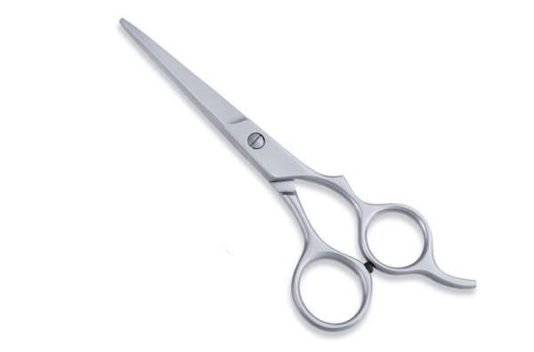 Professional Hair Cutting Shears