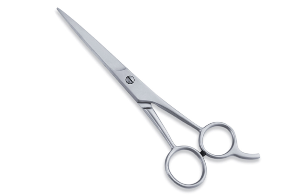 Economy Premium Hairdressing Scissors