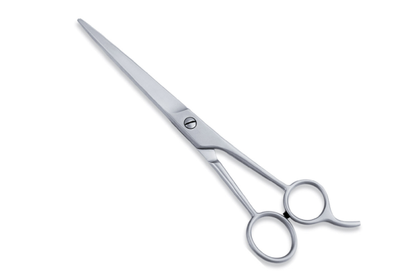 Stainless Steel Barber Shear