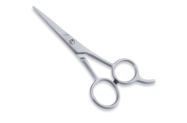 Metallic Silver Handle Scissor