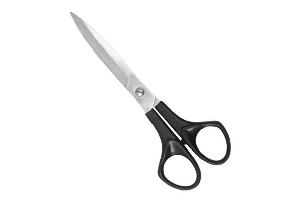 Economy Black Handle Scissors