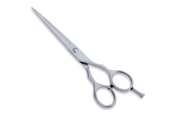 Economy hairdressing scissors